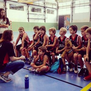 Programa de preparación mental para competición (paquete 6 sesiones)
